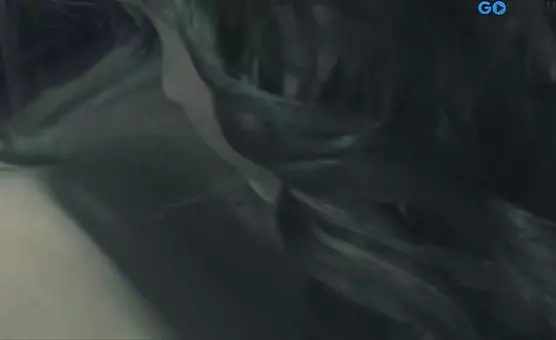 Two Ladies Transform into Buttery Winged Seductresses, Exploring Lesbian Lust and Toys